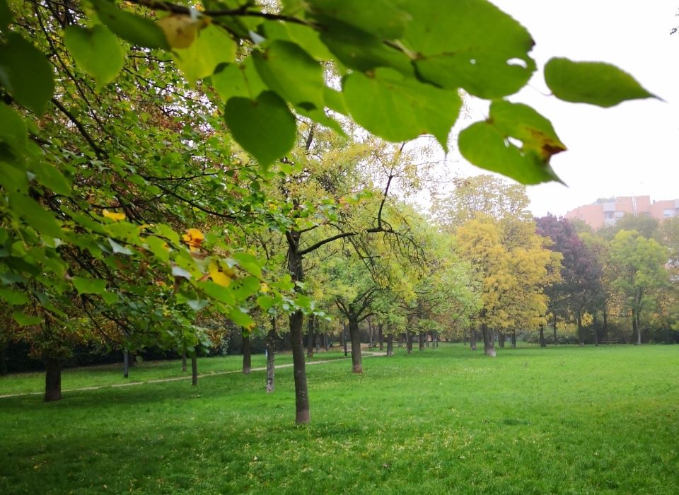 Ciao-Bologna-Parco-Alessandrini
